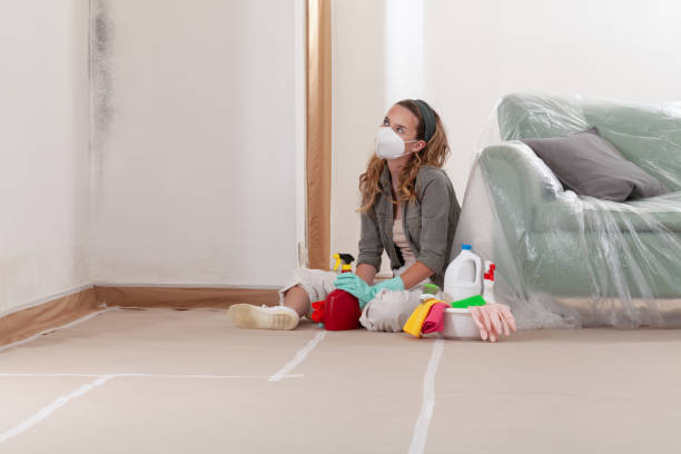 Reliable Mold Remediation contractor in Wycombe, PA by WQB Mold Removal